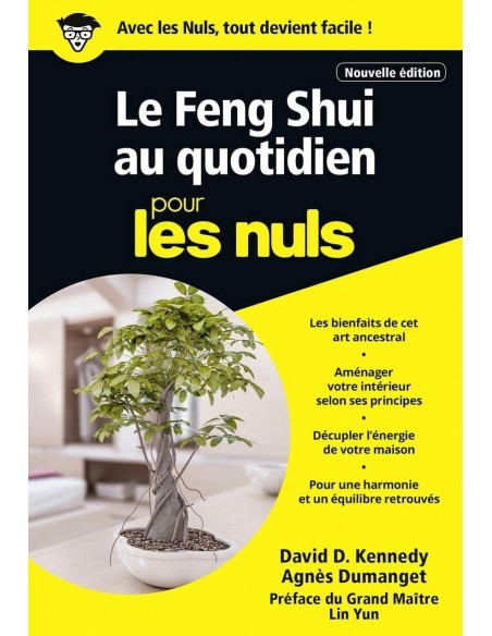Le Feng Shui au quotidien pour les Nuls - Agnès DUMANGET & David KENNEDY