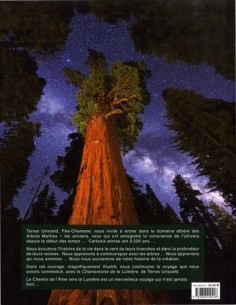 Les arbres initiatiques de la lumière : Travailler les qualités  des 64 arbres maîtres de l'arbre zodiaque - Terres Unsoeld 2