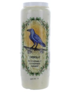 Neuvaine animal totem Corneille