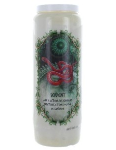 Neuvaine Animaux Totem Serpent