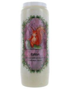 Neuvaine Animaux Totem Ecureuil