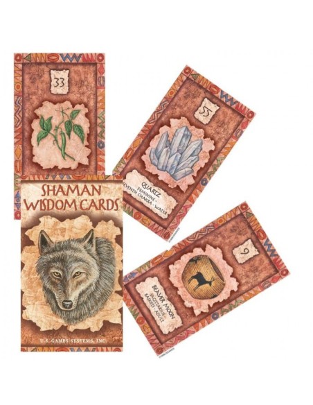 Shaman Wisdom Cards - Leita Richesson