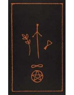 The Raven's Prophecy Tarot - Maggie Stiefvater 2