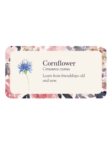 Flower Petals Inspiration Cards - Cheralyn Darcey