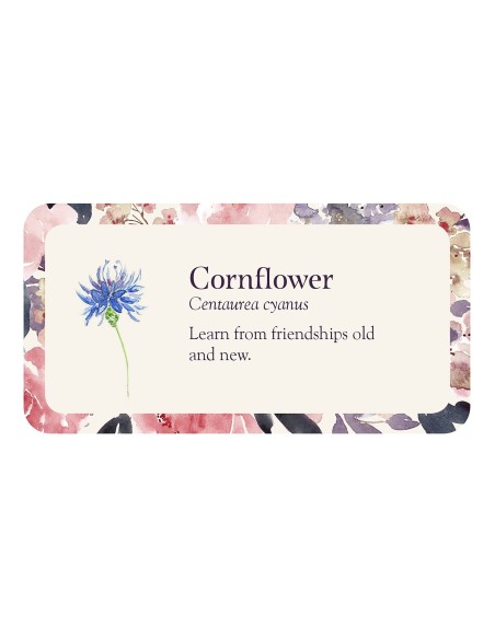 Flower Petals Inspiration Cards - Cheralyn Darcey Flower Petals Inspiration Cards - Cheralyn Darcey