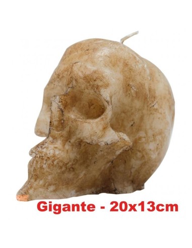 Bougie figurative Crâne naturel Très Grand