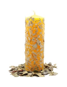 Grande Bougie Plantes Attire l'argent