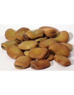 Fèves à souhait - Mojo Wish Bean 2