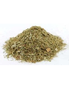 Sassafras (feuilles coupées)
