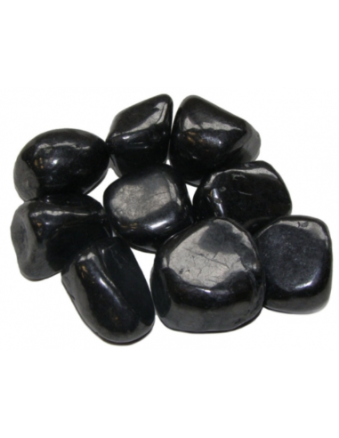 Galet Shungite