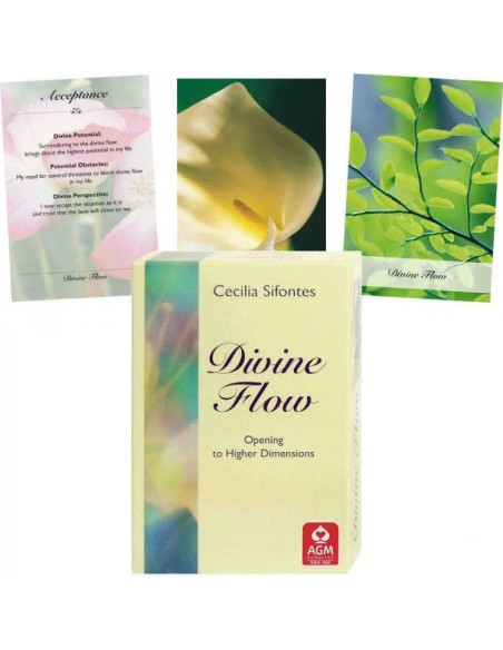 The Divine Flow cards - Cecilia Sifontes