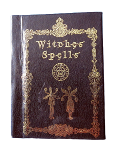 Journal des sorcières (cahier vierge)