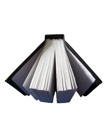 Journal des sorcières (cahier vierge)