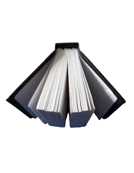 Journal des sorcières (cahier vierge)