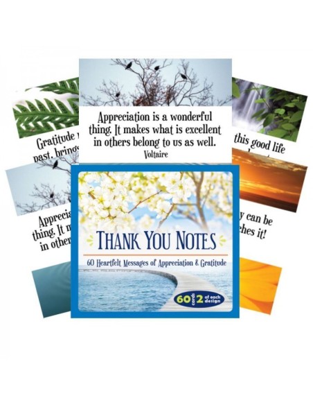 Thank You Notes - 60 Heartfelt Messages of Appreciation & Gratitude