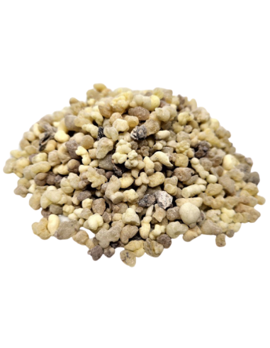 Encens Oliban de Somalie - Purification & Puissance de rituel