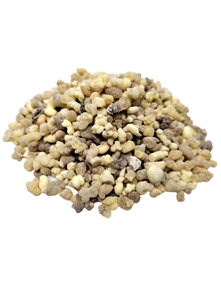 Encens Oliban de Somalie - Purification & Puissance de rituel