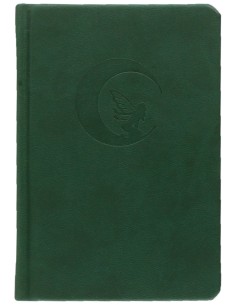 Journal de poche Une Fée sur la Lune - Lo Scarabeo