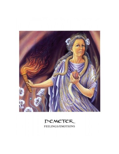 The Goddess Oracle Deck/Book Set - Amy Sophia...