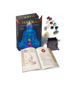 Chakras: The Seven Doors of Energy (Anglais) - Laura Tuan 2