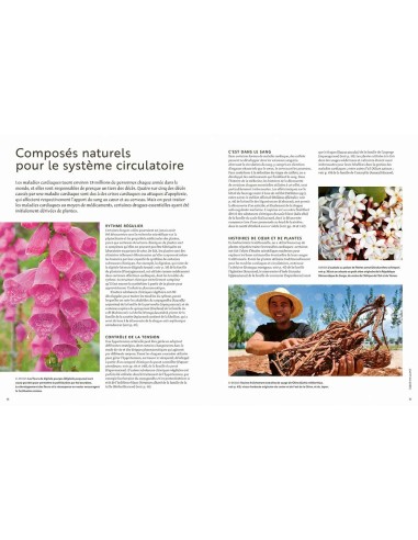 Les plantes qui soignent - Elizabeth Dauncey &...