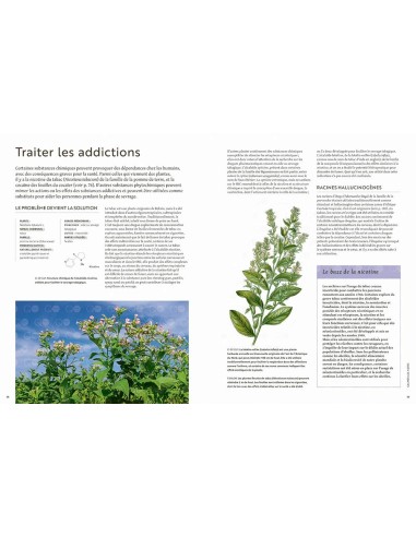 Les plantes qui soignent - Elizabeth Dauncey &...