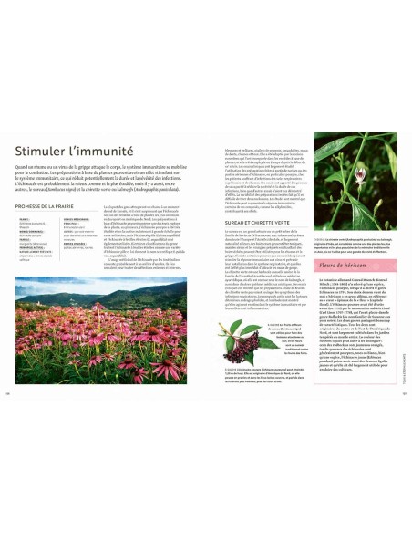 Les plantes qui soignent - Elizabeth Dauncey & Melanie-Jayne Howes