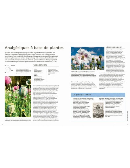 Les plantes qui soignent - Elizabeth Dauncey & Melanie-Jayne Howes