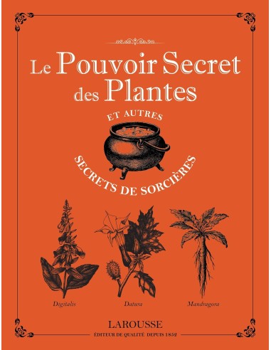 Le pouvoir secret des plantes et autres secrets de sorcières - Michel Viard