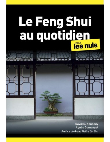 Le Feng Shui au quotidien Pour les Nuls - Agnès DUMANGET & David KENNEDY
