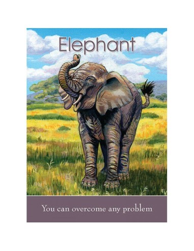 Children's Spirit Animal Cards - Dr. Steven...