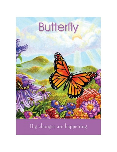 Children's Spirit Animal Cards - Dr. Steven...