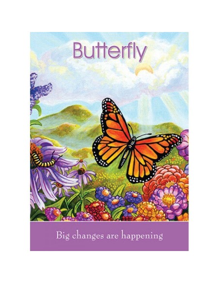 Children's Spirit Animal Cards - Dr. Steven Farmer & Jesseca Camacho