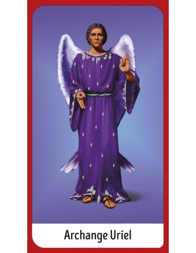 Les Anges divinatoires Coffret - Chrissie...