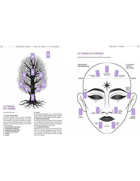 Ombres et lumières du Tarot: Voyage au coeur des 78 arcanes du Tarot de Marseille - Carole Sédillot
