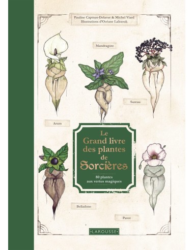Le Grand Livre des plantes de sorcières - Michel Viard & Pauline Capmas-Delarue