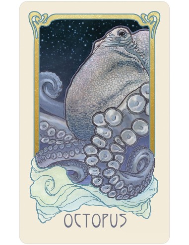 Dreamscape Oracle - Matt Hughes