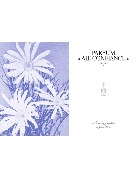 Le livre de la magie blanche: Le grimoire indispensable pour enchanter ton quotidien - Tania Berta Judith