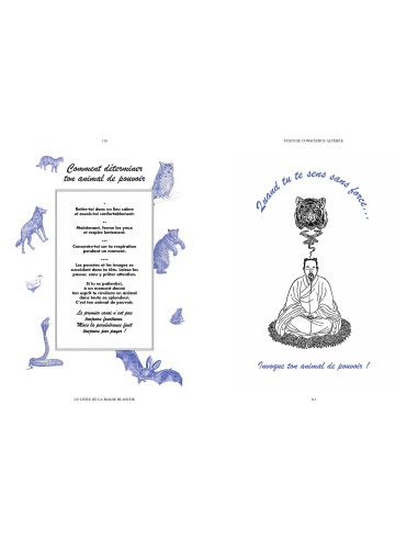 Le livre de la magie blanche: Le grimoire...