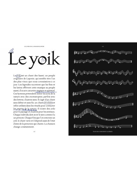 Le livre de la magie blanche: Le grimoire indispensable pour enchanter ton quotidien - Tania Berta Judith