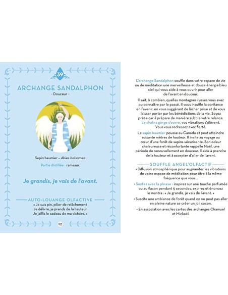 Oracle Le parfum des anges - Elodie Dracon & Cathy Delanssay (illustrateur)