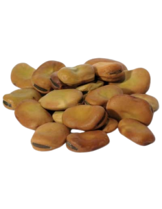 Fèves à souhait - Mojo Wish Bean