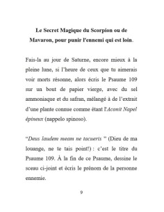 Le Secret Magique du Scorpion 2