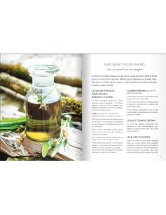 Élixirs et brumes sacrées: 40 recettes DIY pour mettre la magie en bouteille - Aurora Sylvàa 2