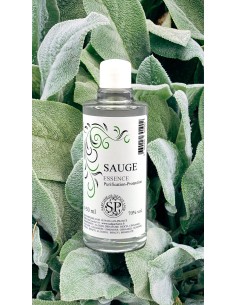Sauge (Essence) - Purification & Protection 2