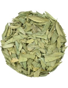 Séné - Cassia Senna