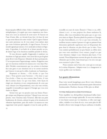 Augmenter son taux vibratoire au quotidien: 365 conseils pour amplifier votre énergie spirituelle - Melissa Alvarez