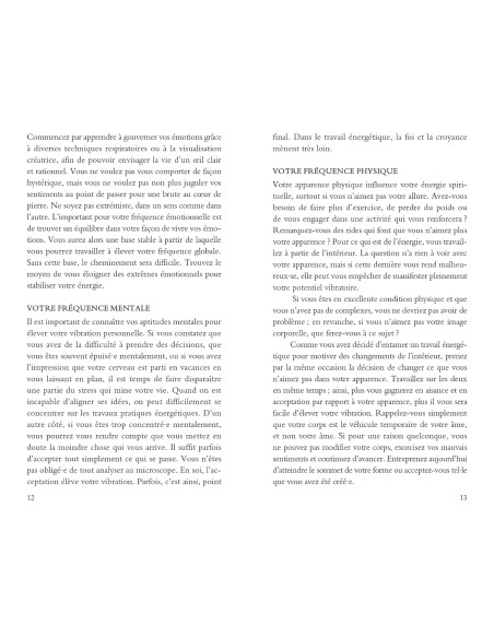 Augmenter son taux vibratoire au quotidien: 365 conseils pour amplifier votre énergie spirituelle - Melissa Alvarez
