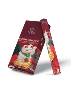 Encens Terra Bonne Chance hexa sans charbon 30grs