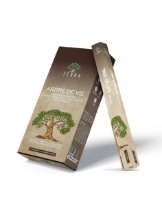 Encens Terra Arbre de Vie hexa sans charbon 30grs